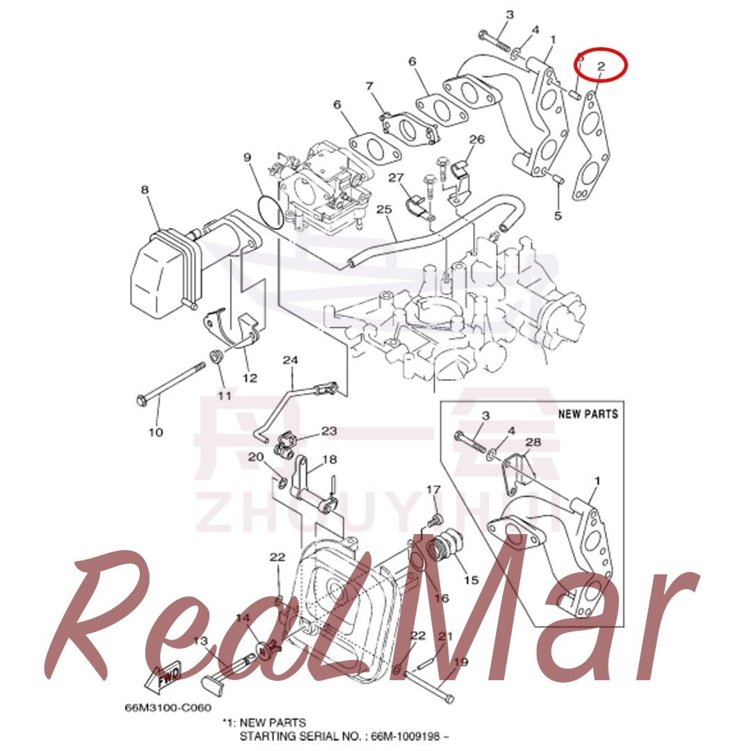 (66M-13645-00),Dimo,(66M-13645-00)-Dimo