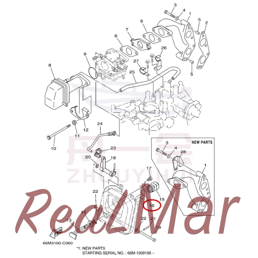 (66M-41298-00),Dimo,(66M-41298-00)-Dimo
