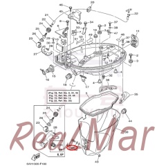 WASHER  SPRING (92995-06100),Dimo,WASHER  SPRING (92995-06100)-Dimo
