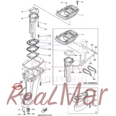 STOPPER  UPPER MOUNT (682-44532-00),Dimo,STOPPER  UPPER MOUNT (682-44532-00)-Dimo