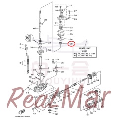 COVER  OIL SEAL (682-45344-00),Dimo,COVER  OIL SEAL (682-45344-00)-Dimo