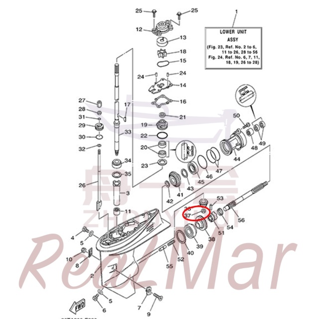 NUT (90170-12138),Dimo,NUT (90170-12138)-Dimo