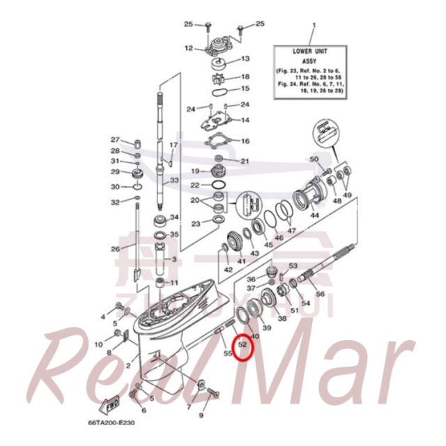 SPRING  COMPRESSION (90501-15M01),Dimo,SPRING  COMPRESSION (90501-15M01)-Dimo