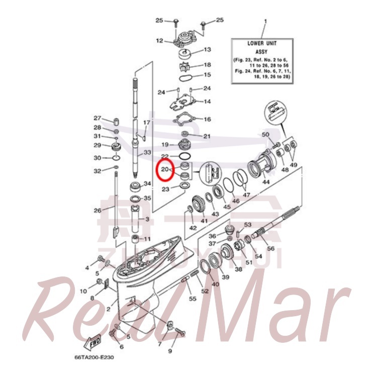 OIL SEAL (93101-22M60),Dimo,OIL SEAL (93101-22M60)-Dimo