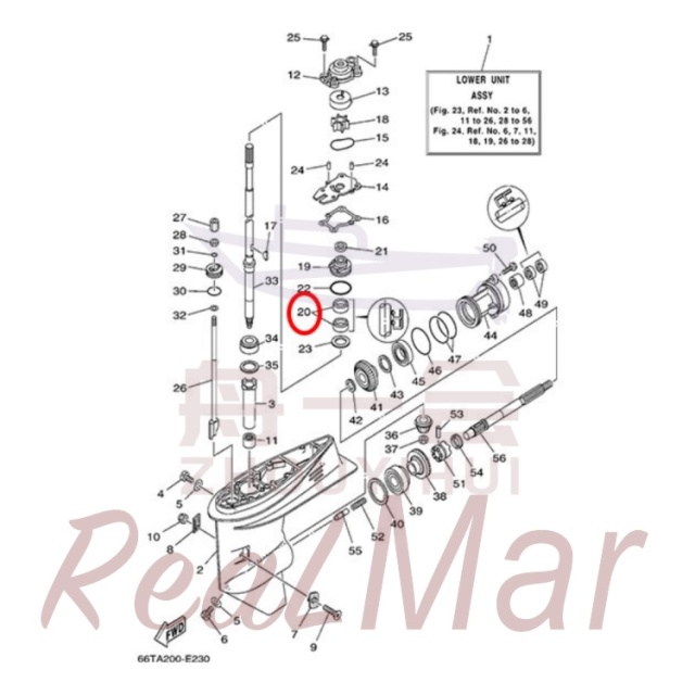 OIL SEAL (93101-22M60),Dimo,OIL SEAL (93101-22M60)-Dimo