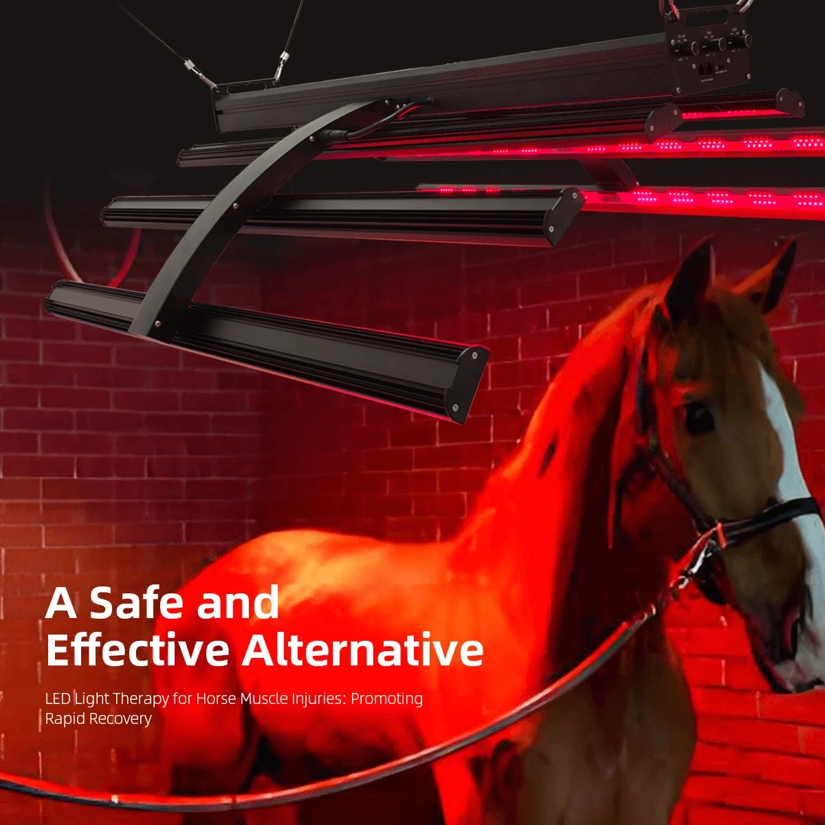 Equine Pro 3-Spectrum Led Red Therapy Light Bar System 700W