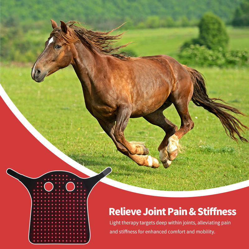 Horse head red light therapy device