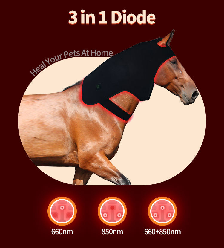 Horse head red light therapy device