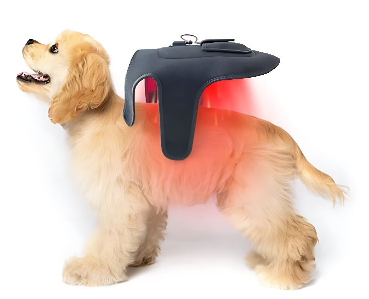 Red light therapy device for cats and puppies