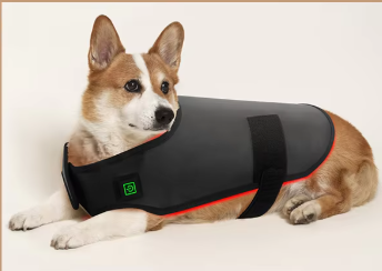 Pet red light treatment pad