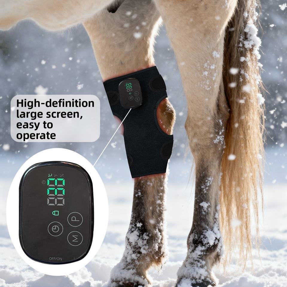Red light therapy device for horse knee joints