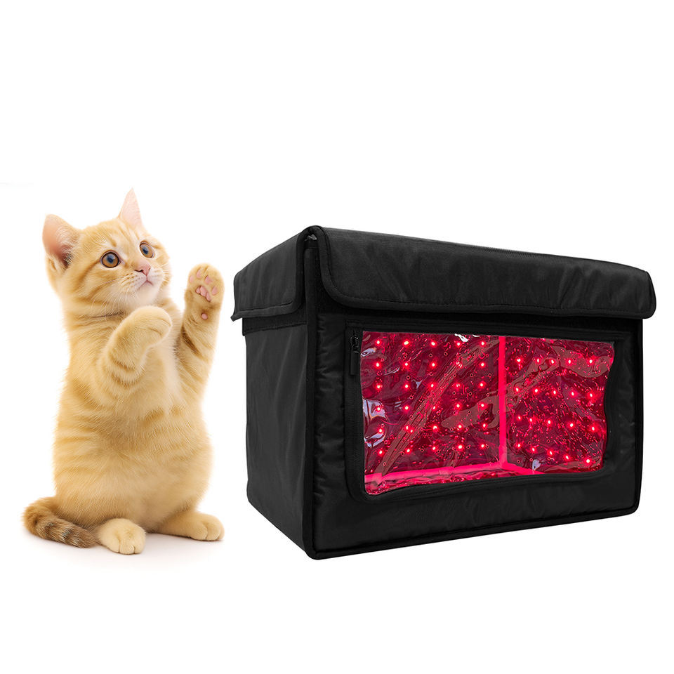 Foldable Pet Red Light Therapy Box