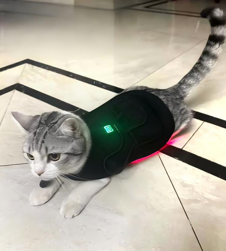 Red light therapy device for cats and puppies