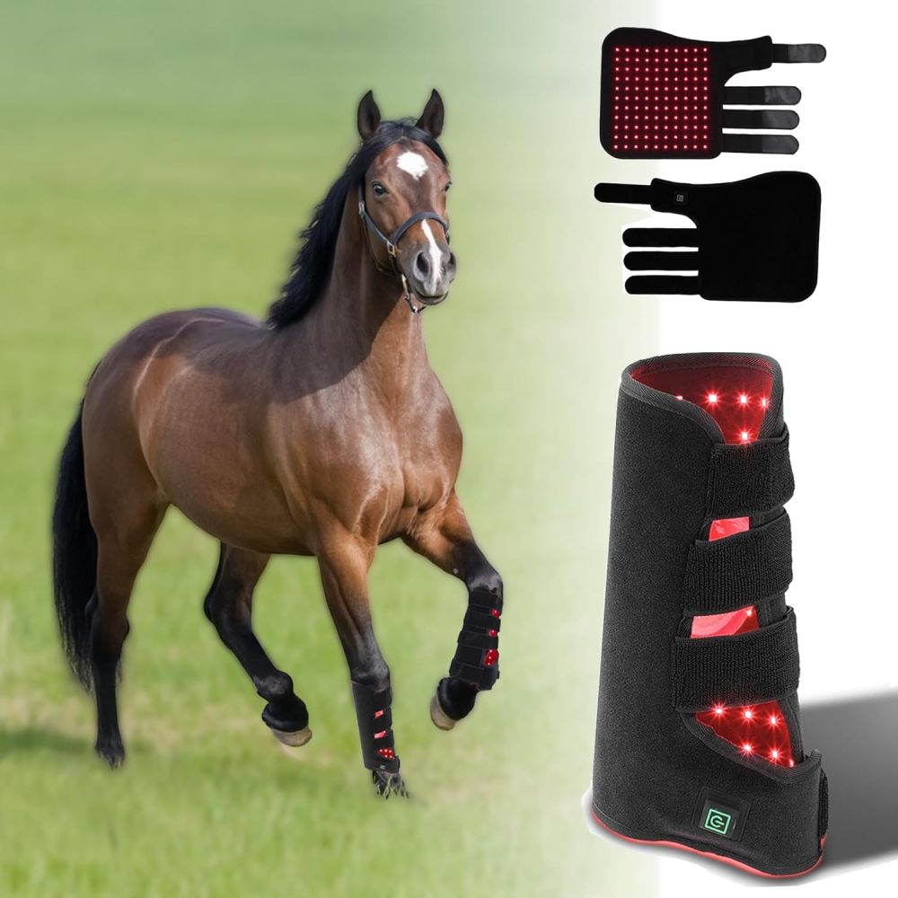 Horse red light treatment boots