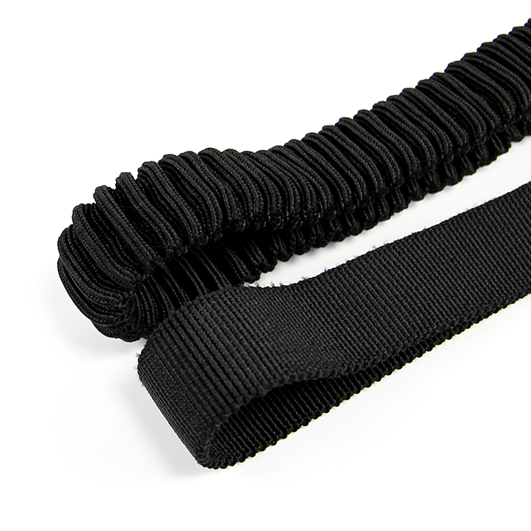 Dog Leash