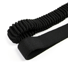 Dog Leash