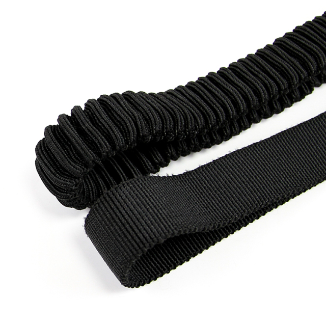 Dog Leash
