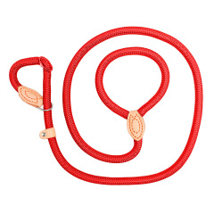 Customize Pet Cat Collar Training Leashes Harness Dog Collar And Leash Set Pet Dog Nylon 2 in 1 Dog Leash Harness