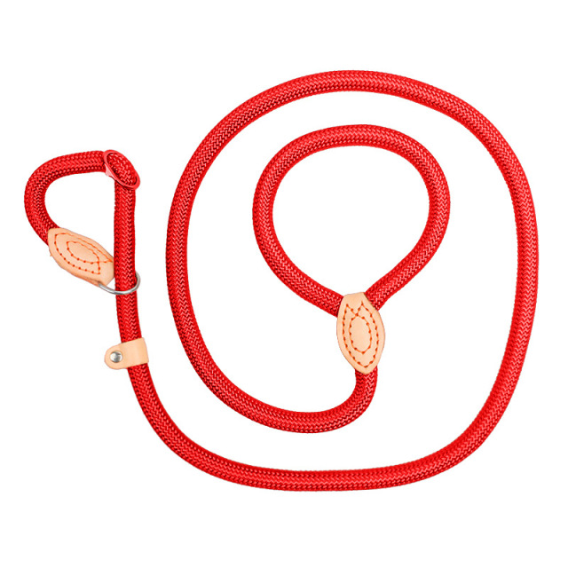 Customize Pet Cat Collar Training Leashes Harness Dog Collar And Leash Set Pet Dog Nylon 2 in 1 Dog Leash Harness