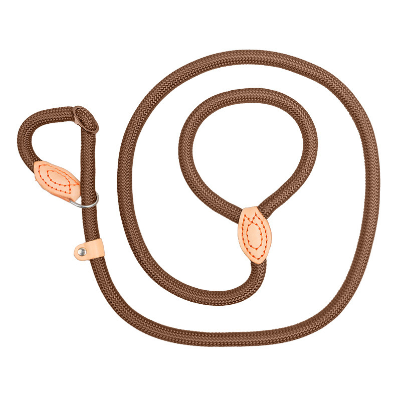 Customize Pet Cat Collar Training Leashes Harness Dog Collar And Leash Set Pet Dog Nylon 2 in 1 Dog Leash Harness