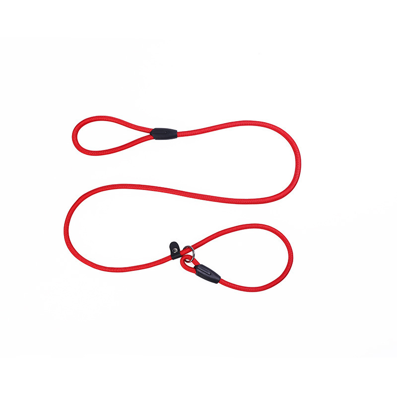 Nylon Polyester 2 in 1 Dog Leash Harness Pet Collar Training Dog Collar And Leash Set Pet Dog Cat Collars Leashes