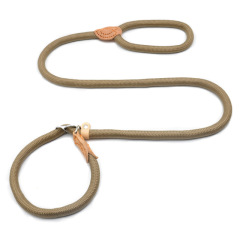 Customize Pet Cat Collar Training Leashes Harness Dog Collar And Leash Set Pet Dog Nylon 2 in 1 Dog Leash Harness