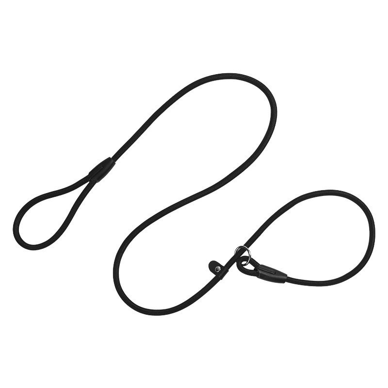Nylon Polyester 2 in 1 Dog Leash Harness Pet Collar Training Dog Collar And Leash Set Pet Dog Cat Collars Leashes