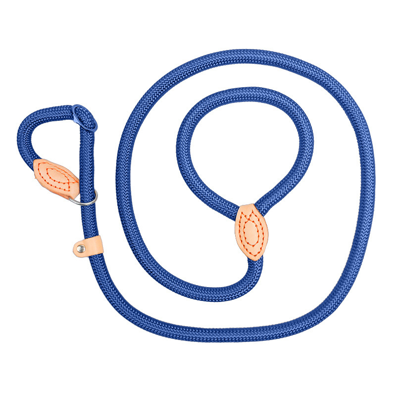 Customize Pet Cat Collar Training Leashes Harness Dog Collar And Leash Set Pet Dog Nylon 2 in 1 Dog Leash Harness