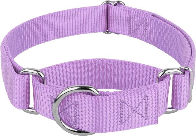 Pet Supplies Wholesale Dog Chain Pet Collar Neck Set Dog Leash Nylon Custom Tactical Pet Collar Walking Dog Leash Collar