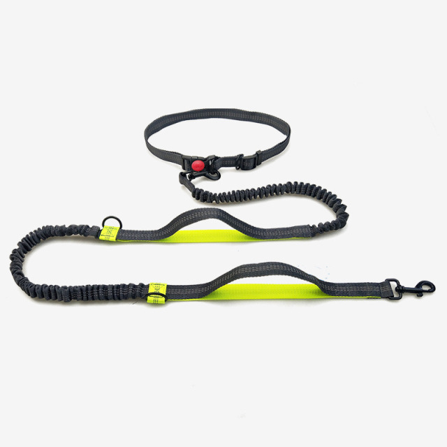 Pet Traction Rope Pet Cat Dog Elastic Webbing Strap Band Dog Leash Nylon Belt Dog Leash Nylon Polyester Belt Pet Collars Leashes