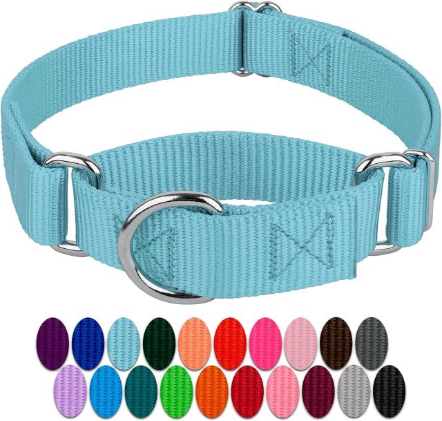 Pet Supplies Wholesale Dog Chain Pet Collar Neck Set Dog Leash Nylon Custom Tactical Pet Collar Walking Dog Leash Collar