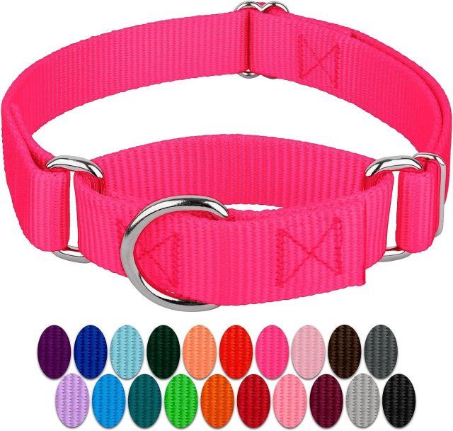 Pet Supplies Wholesale Dog Chain Pet Collar Neck Set Dog Leash Nylon Custom Tactical Pet Collar Walking Dog Leash Collar
