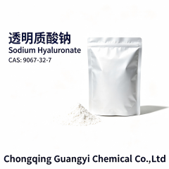 透明质酸钠 Sodium hyaluronate,Chongqing Guangyi Chemical Co., Ltd,透明质酸钠 Sodium hyaluronate