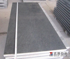 Darker Granite Tiles G654 Top and One long Polished