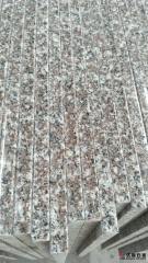 G664 Granite Countertops Flat Edge Brown Granite Wholesale