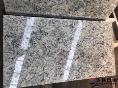 Santa Cecilia Granite Countertops Polished Wholesale Dalei Stone