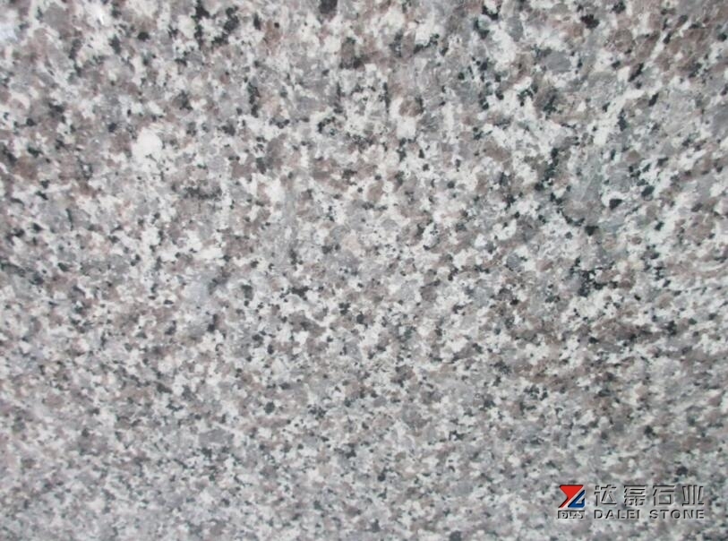 Swan Blue Granite Tombstone Wholesale Dalei Stone