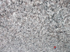 Swan Blue Granite Tombstone Wholesale Dalei Stone