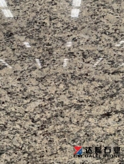 Santa Cecilia Granite Big Slabs Granite Countertops Wholesale