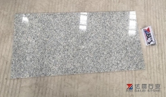 Granite G602 Thin Tiles 610X305X10MM