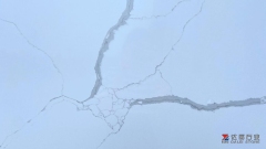 Calacatta White Quartz Countertops Dalei Stone