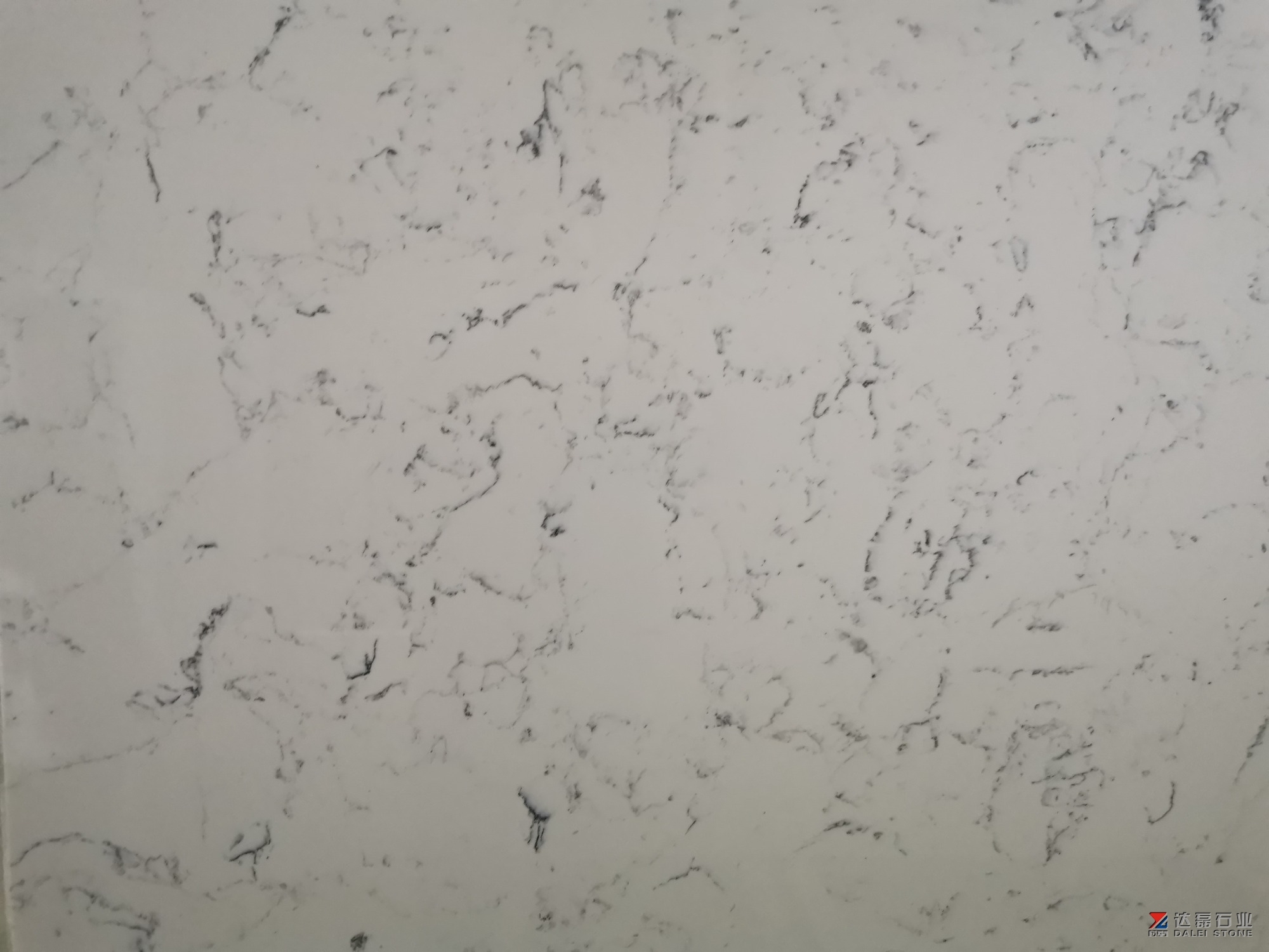 Labby White Quartz Big Slabs Dalei Stone