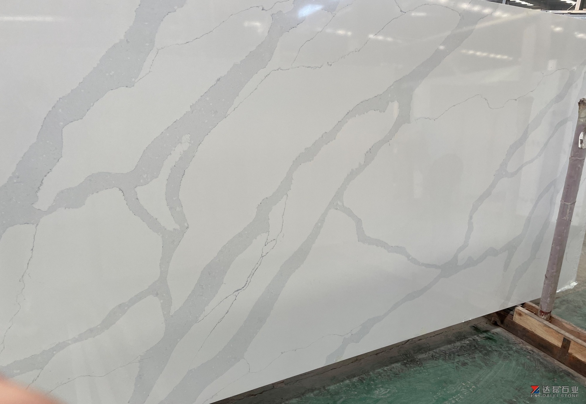 White Color Calacatta Quartz Big Slabs Calacatta Quartz