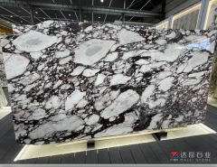 Wholesale Calacatta Viola Marble Calacatta Purple Big Slabs Project