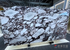 Calacatta Viola More Purple Color Big Slabs Blocks