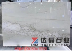 Bianco Statuario Venato Natural Quartz Slabs