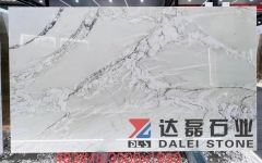 Bianco Statuario Venato Natural Quartz Slabs