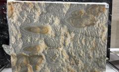 Honey Yellow With Black Color Ink Onyx Big Slabs Wholesale
