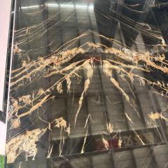 Polished Prada Gold Granite Slab