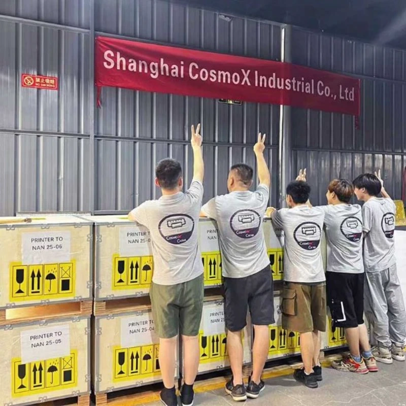 Cosmox Dual Table DTG Printer quality team